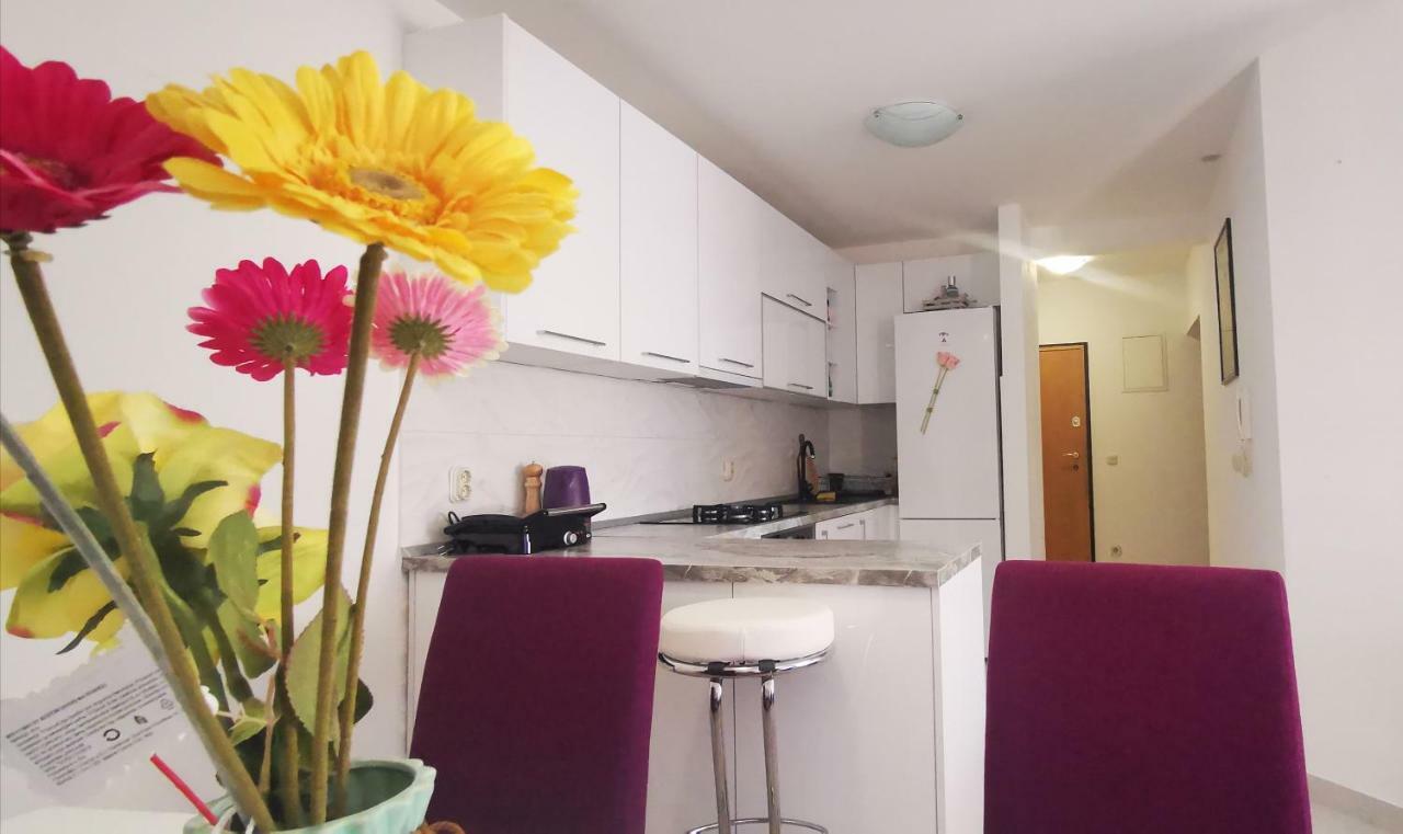 Apartment Dalmatia มาคาร์สกา ภายนอก รูปภาพ